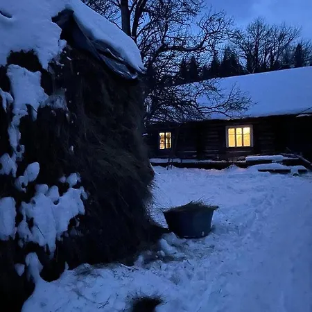 Vandrarhem Authentic Rozhanka Nizhnyaya